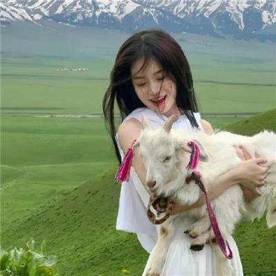 拿破仑先生
